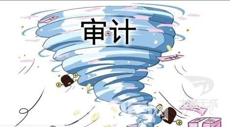 審計和稅審報告區(qū)別