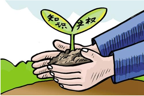 西城知識產(chǎn)權代理